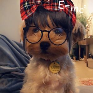 Meet your Posher, Carla andrea